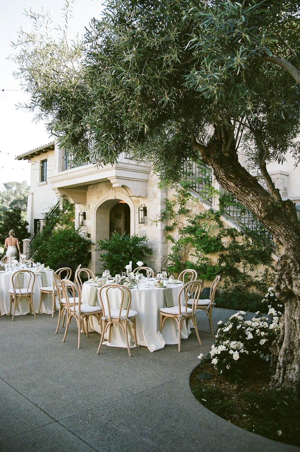 Elegant outdoor wedding reception setup with white tables and gold chairs under a large olive tree beside a Mediterranean villa.