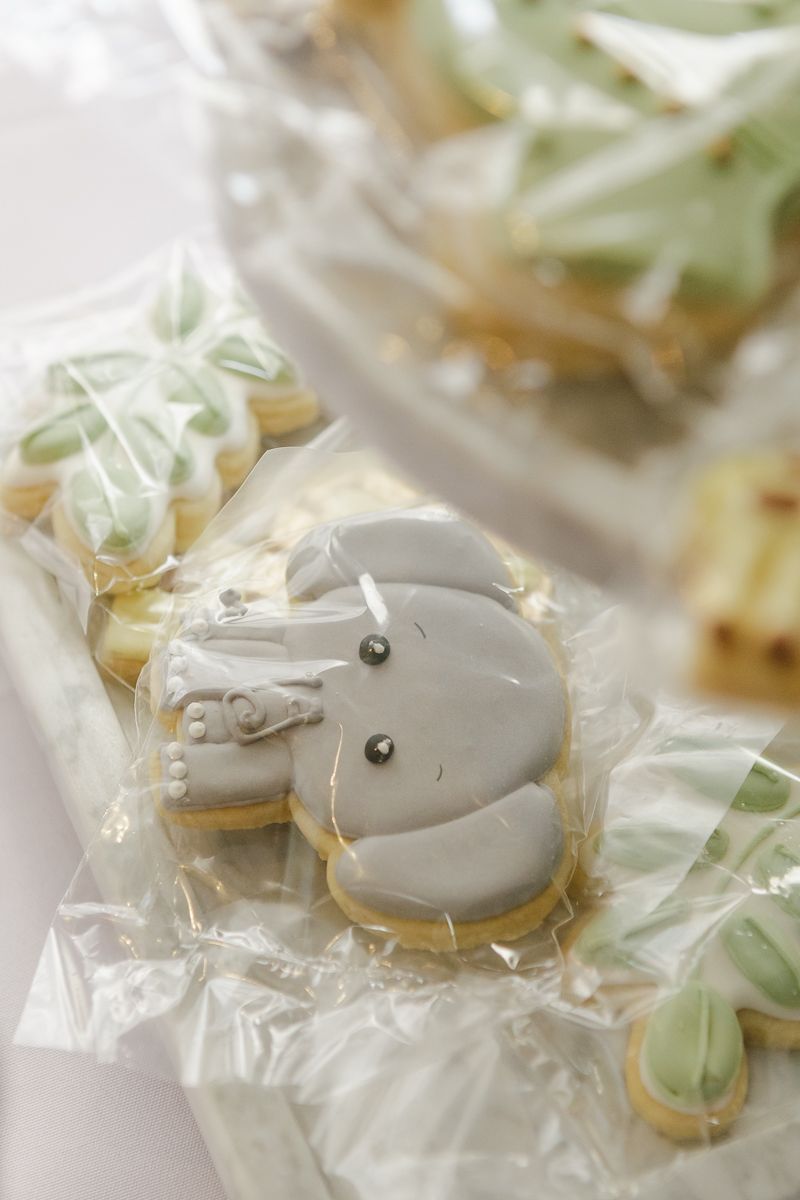 Intricately designed safari-themed cookie with elegant detailing, photographed at a high-end baby shower in NYC’s Financial District