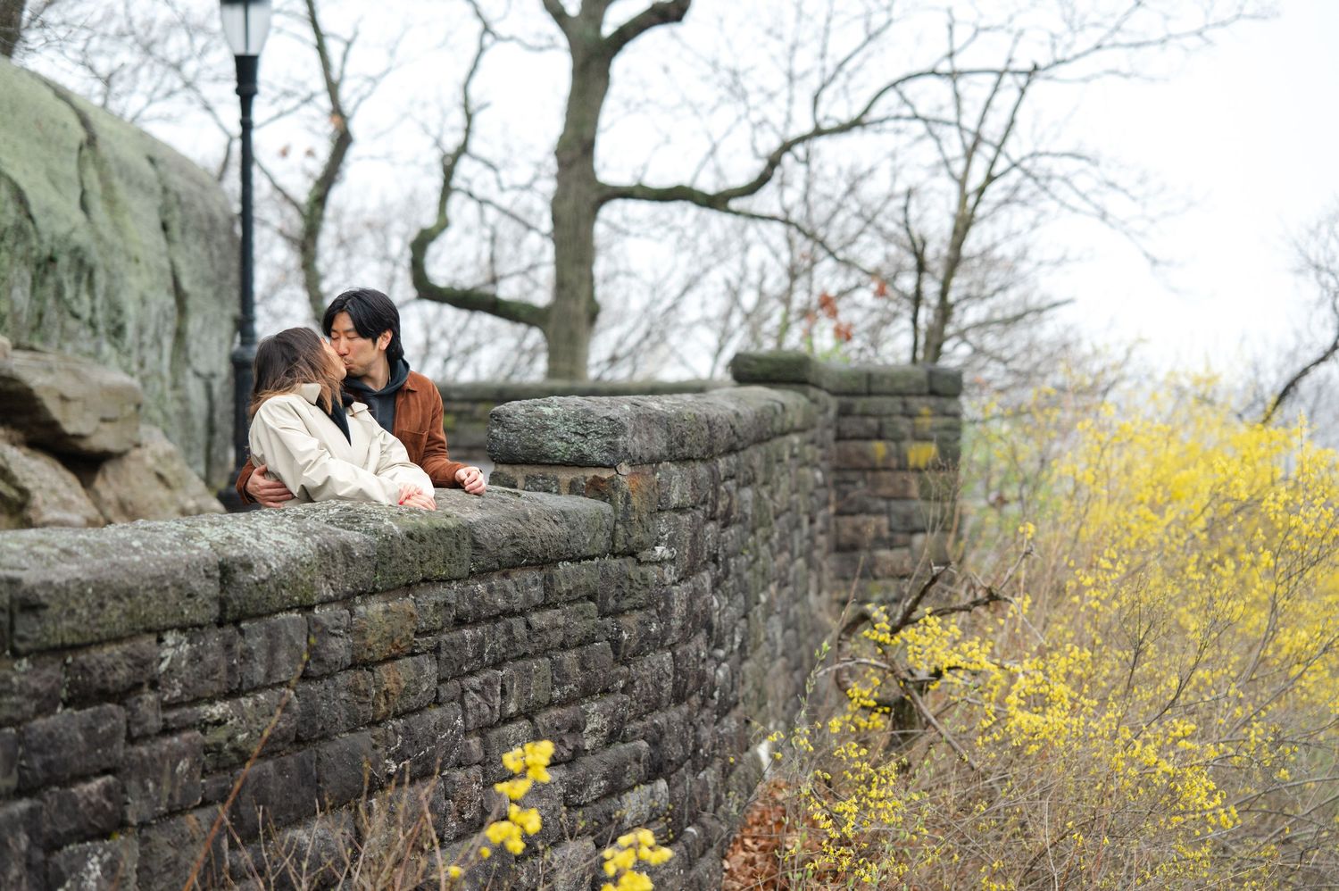A couple shares a romantic moment on a stone wall against bright yellow forsythia blooms in Fort Tryon Park by NYC proposal photographer