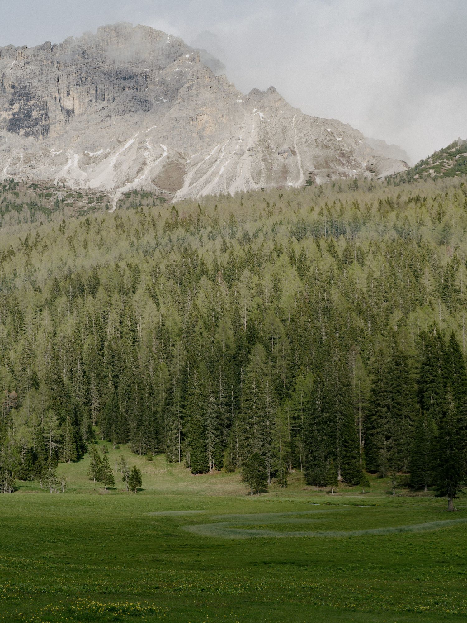 Rocky mountain peak rises above a verdant forest and green meadow in a scenic mountain landscape.
