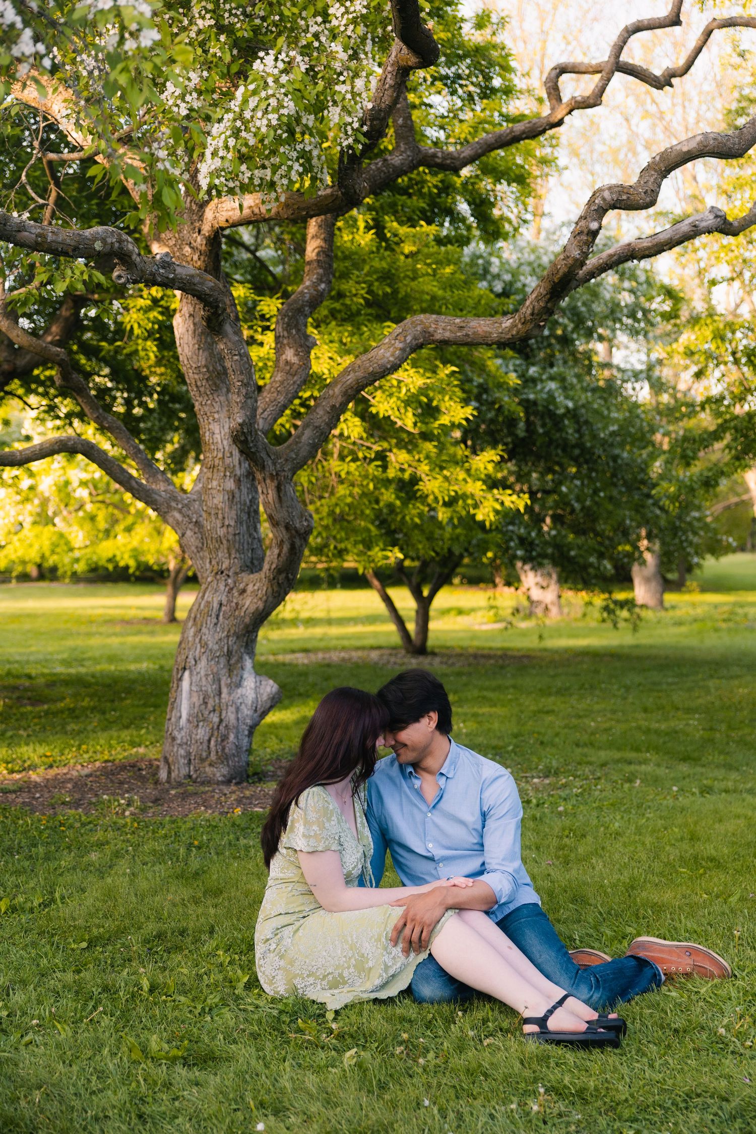 madison wi engagement couple photoshoot professional photographer spring uw arboretum cherry blossom trees lilacs middleton verona deforest
