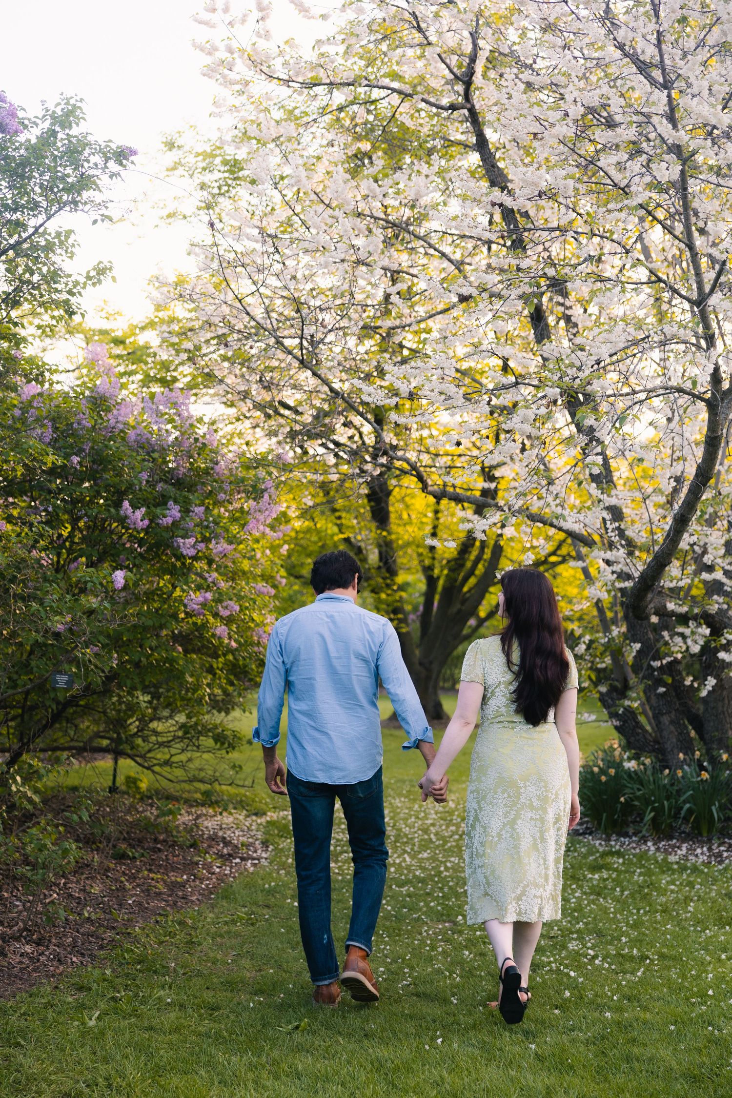 madison wi engagement couple photoshoot professional photographer spring uw arboretum cherry blossom trees lilacs middleton verona deforest