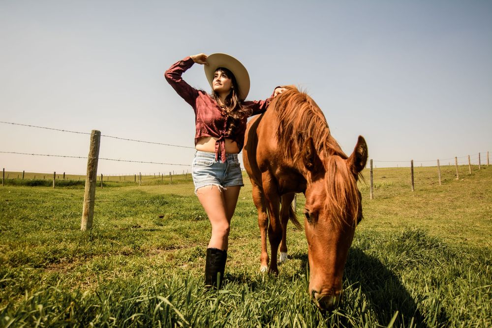 A horse grazes in a sunlit pasture with rolling green hills in the background.