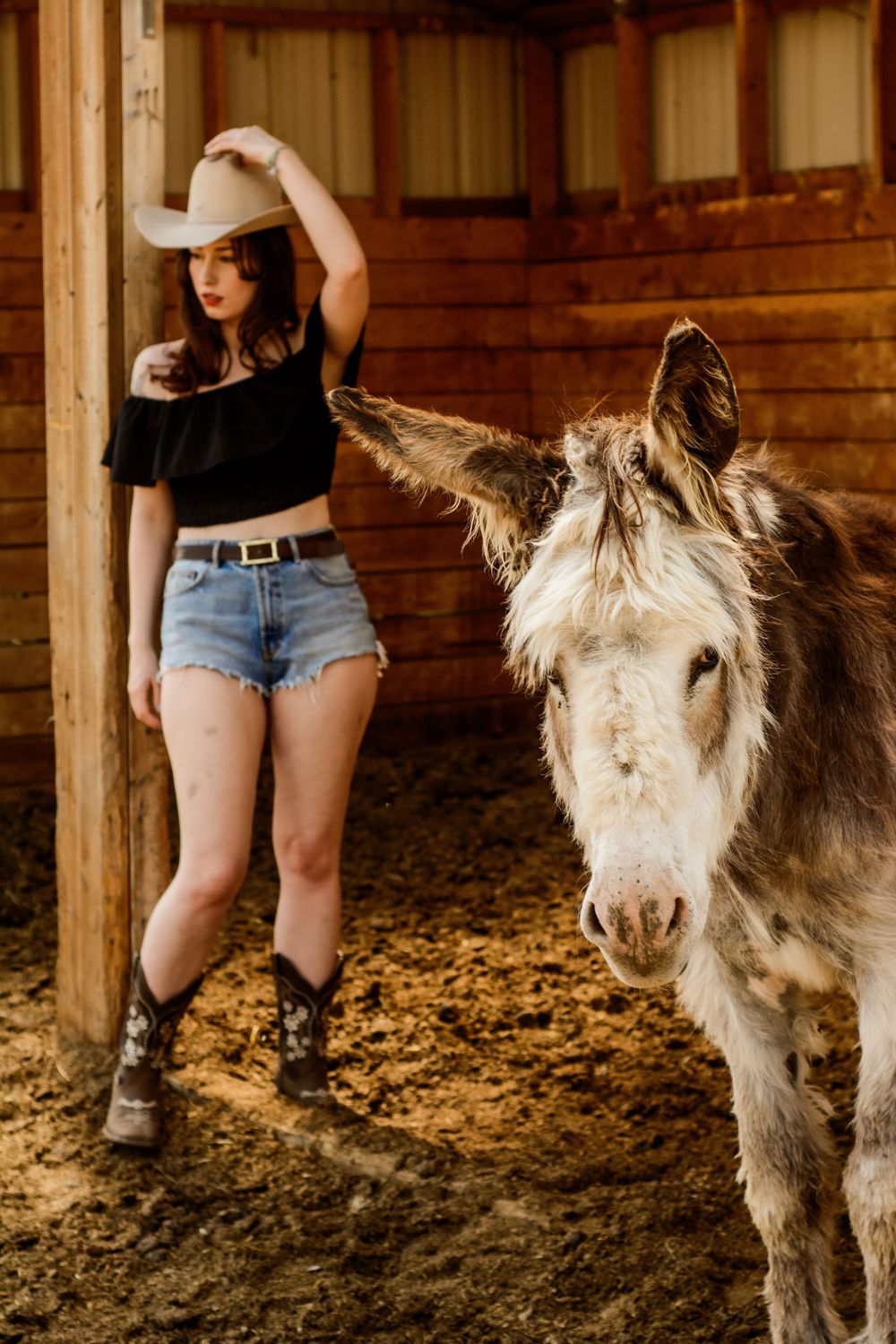 Woman in cowboy attire poses with a white donkey inside a rustic wooden barn.