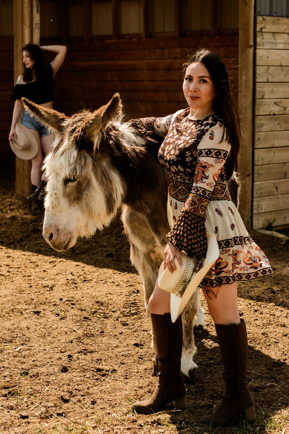 A boho-styled photoshoot with a gentle donkey in a barn setting.