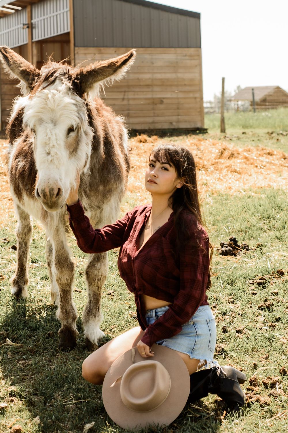 A donkey and person share a quiet moment outside a wooden barn on a sunny day.