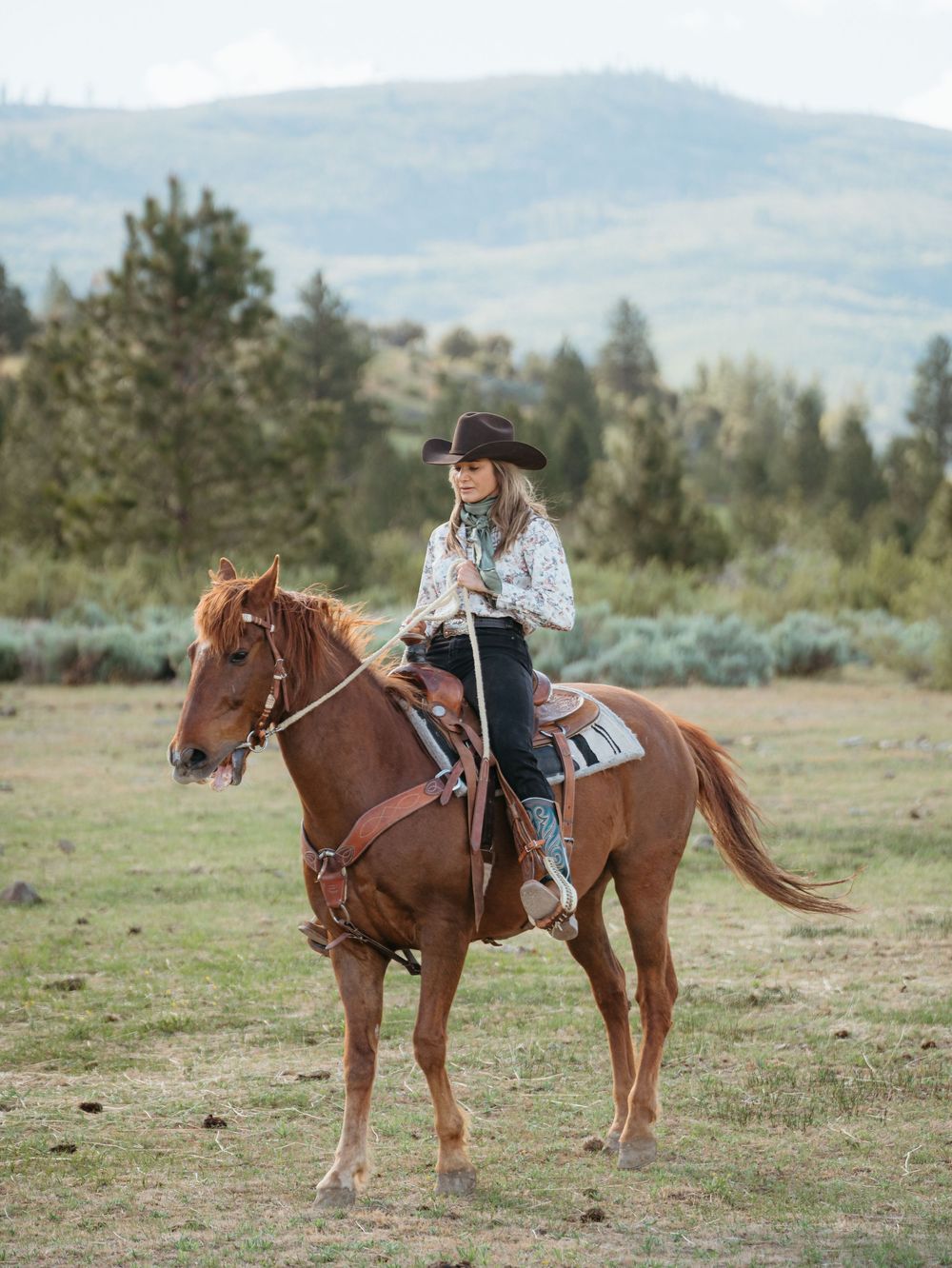 A rider in a cowboy hat and western attire sits atop a chestnut horse in a scenic mountain landscape.