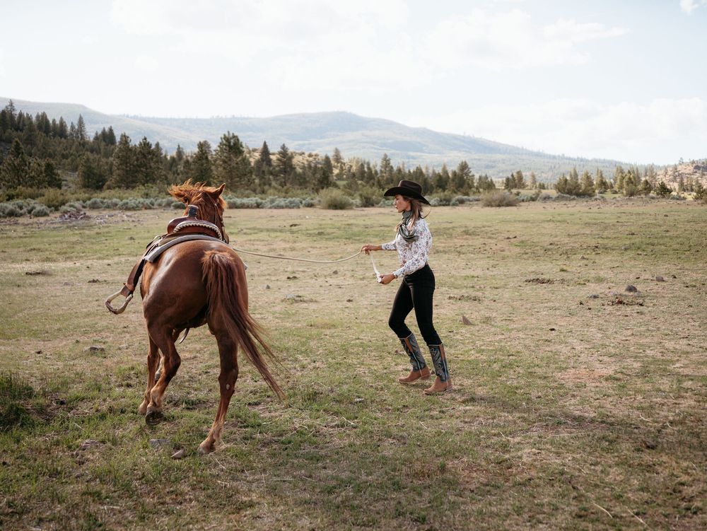 A person in casual attire interacts playfully with a brown horse in a mountain meadow landscape.
