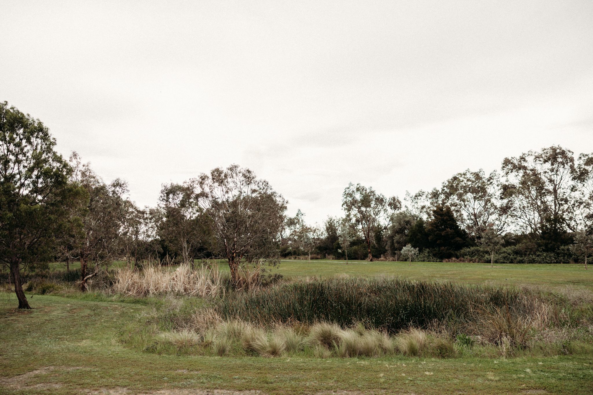 werribee photographer