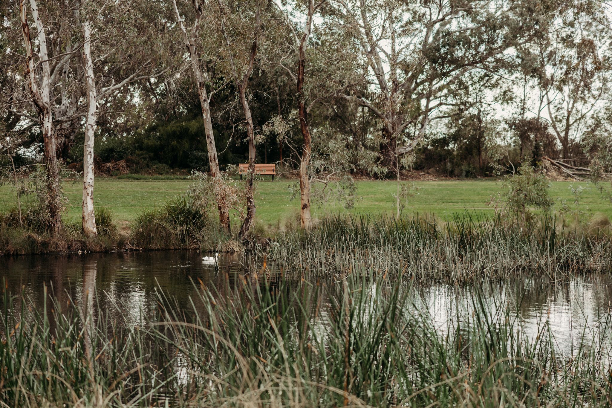 werribee family photographer