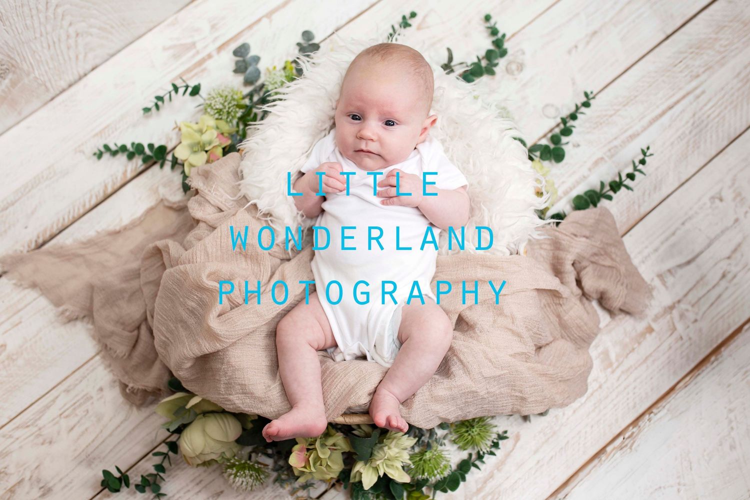 Two month old baby posed in basket by Little Wonderland Photography, Widnes, Cheshire