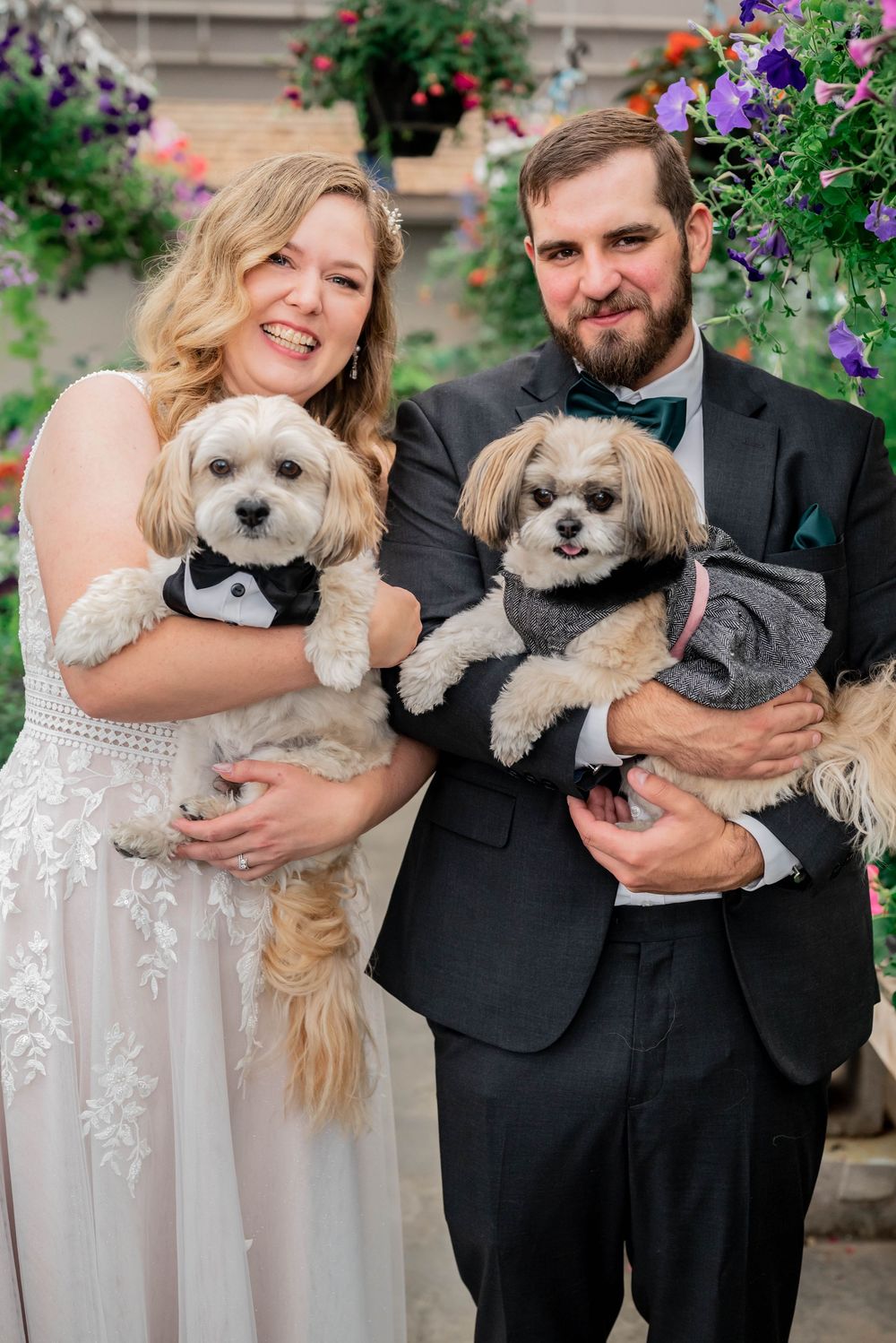 A couple in wedding attire poses with their two small dogs wearing bow ties in a garden setting.