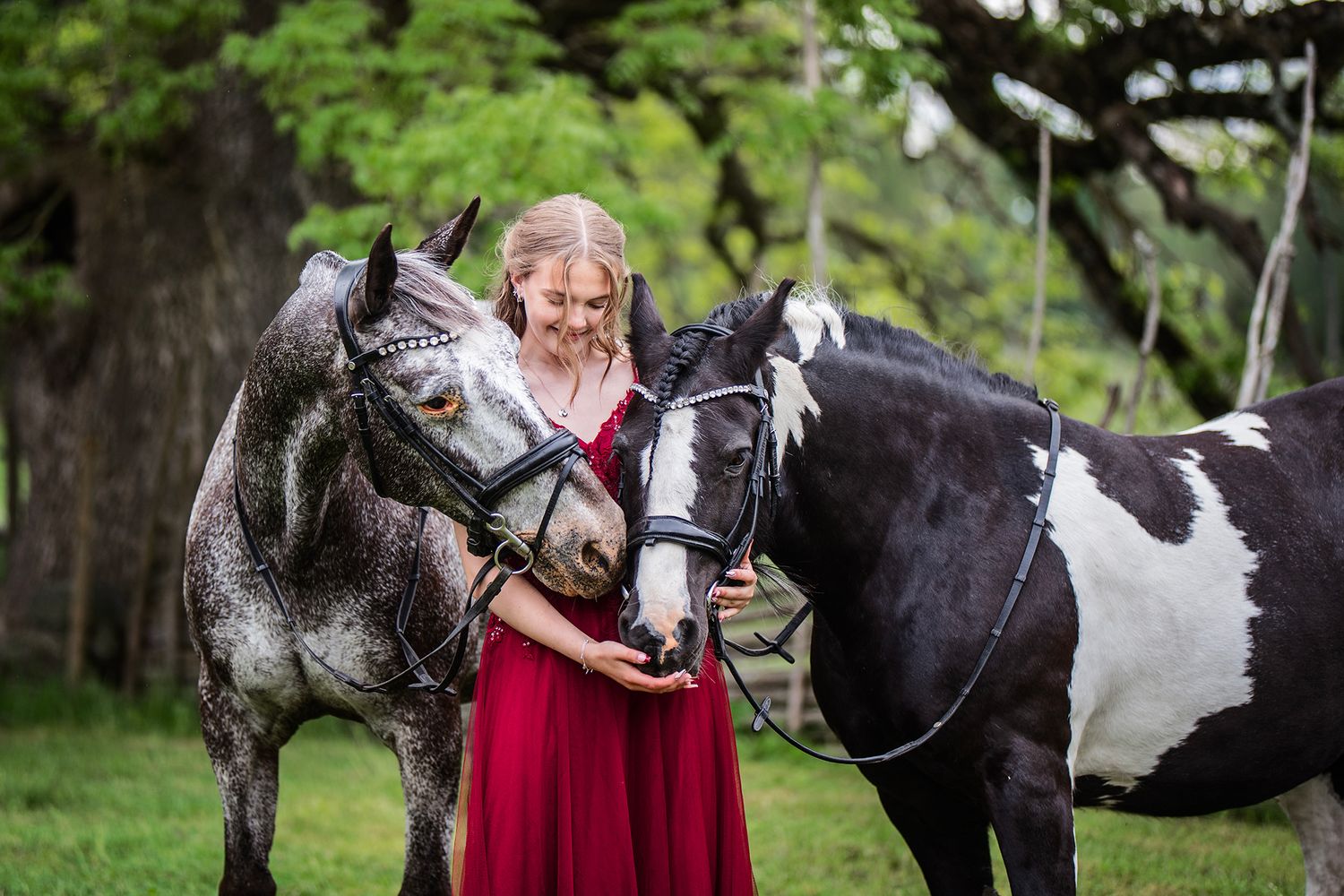 Horse, dress