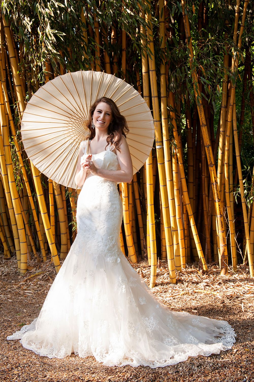 Bride in lace gown holds parasol while posing against bamboo grove backdrop.