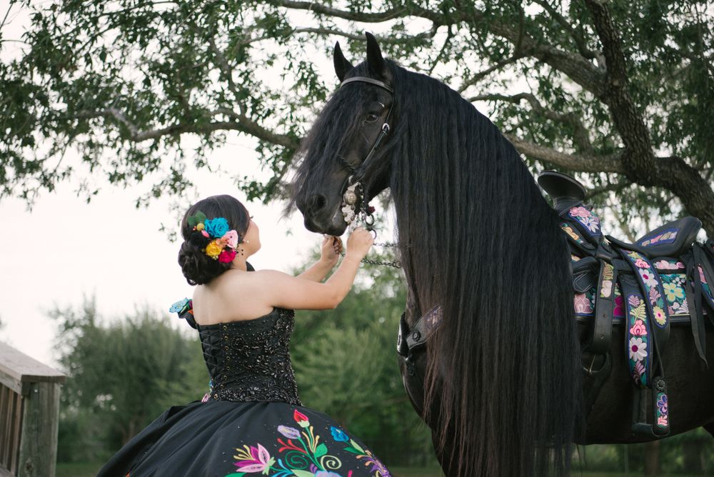 Allysas acres. Mission, Texas