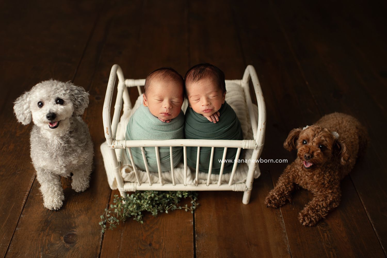 diamond bar newborn photography Los Angeles family
