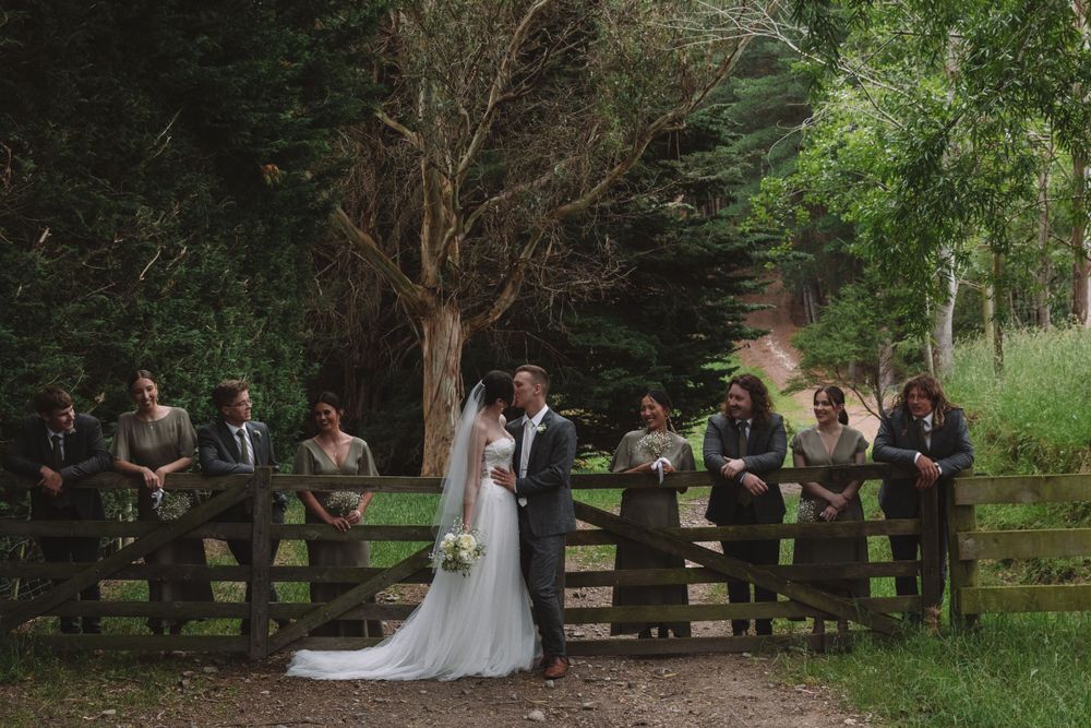 Wedding party arranged along wooden fence creates artistic composition in forest setting.