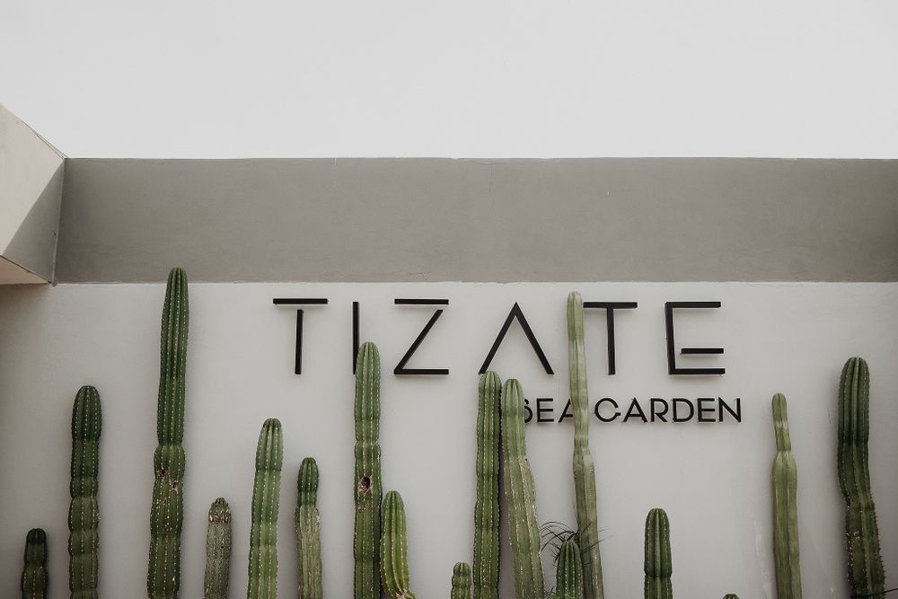 tizate sea garden wedding Mexico wedding photographer