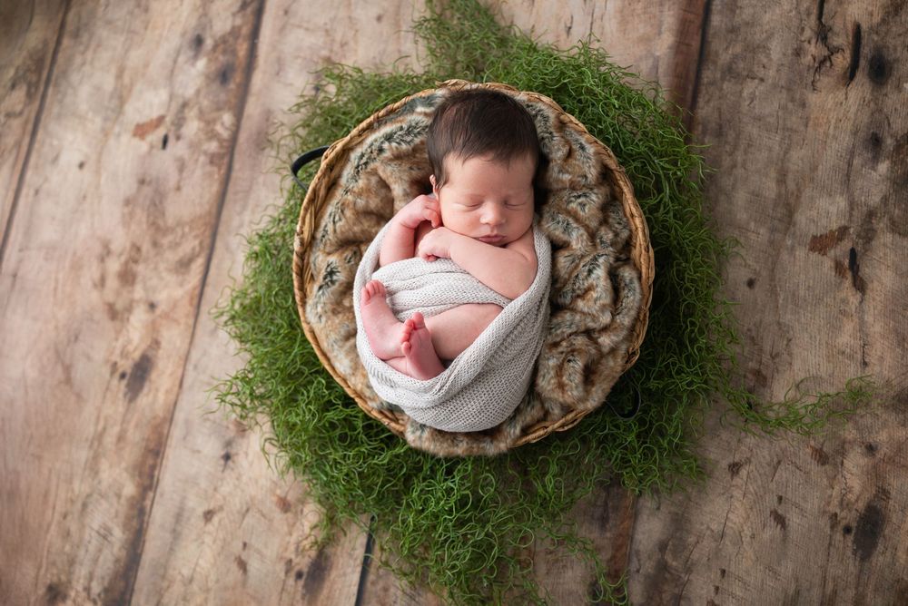 A collage of rustic newborn photography portraits with moss and wood elements forming natural backdrops.