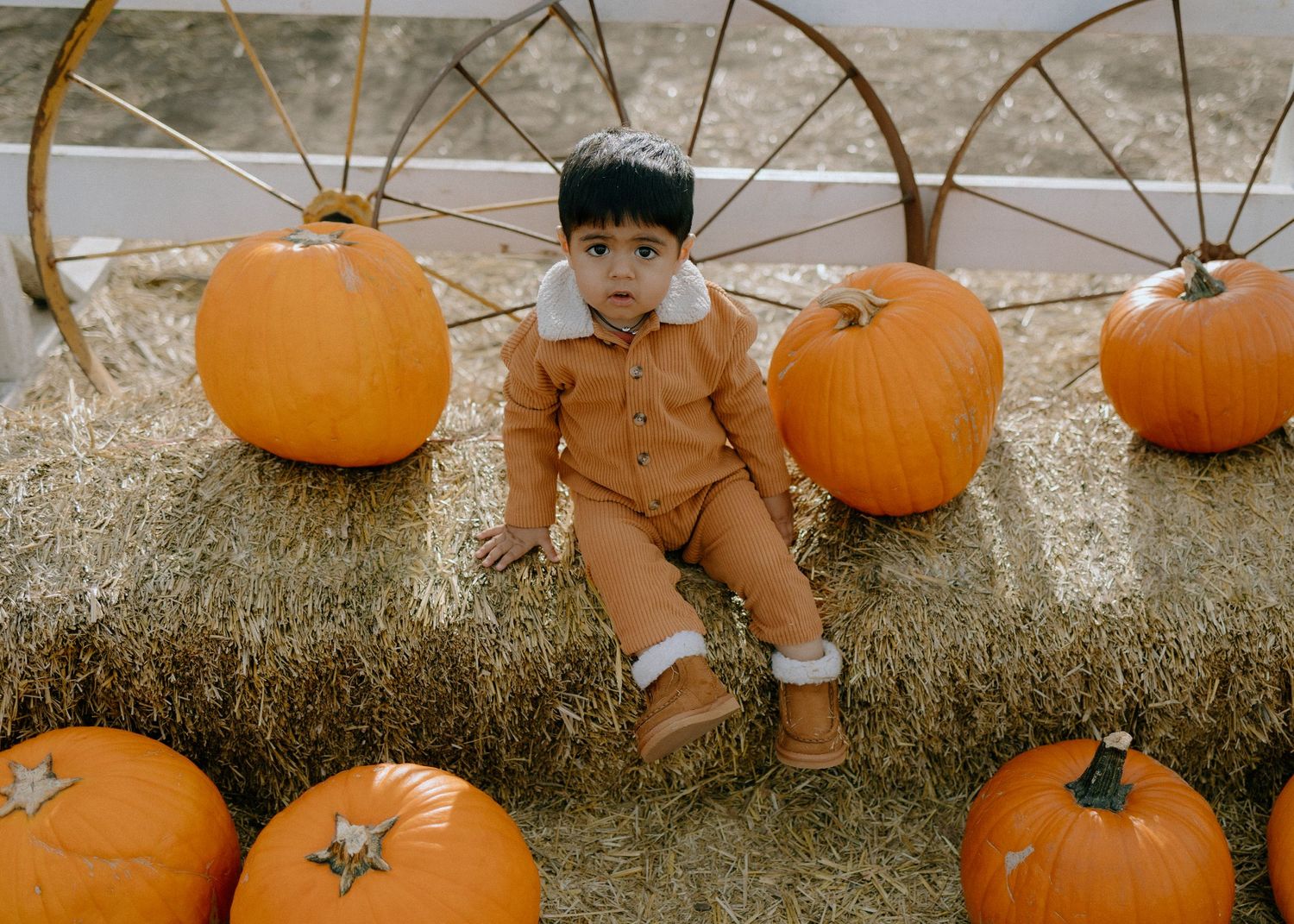 A child sitting between large orange pumpkins wearing brown fall attire.