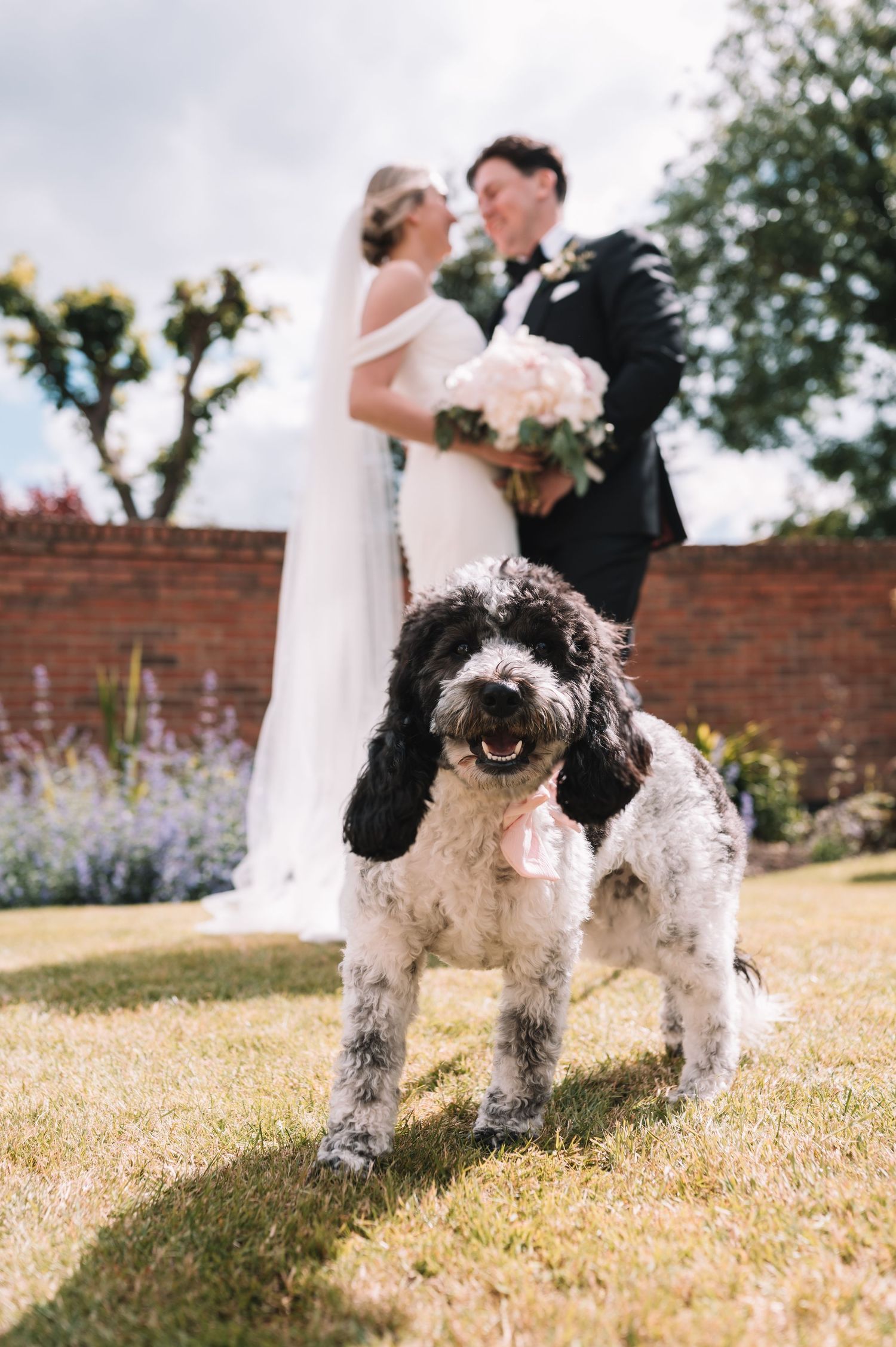 A happy black and white dog poses in front of newlyweds in a garden with a brick wall and flowers in the background.