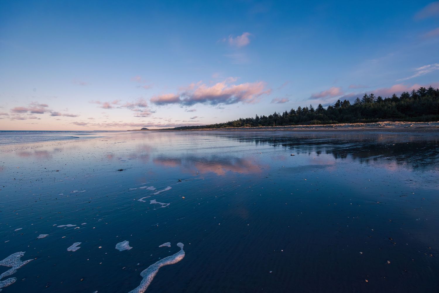 Tranquil winter beach at sunset with frozen lake reflecting pink clouds and evergreen forest along shoreline.