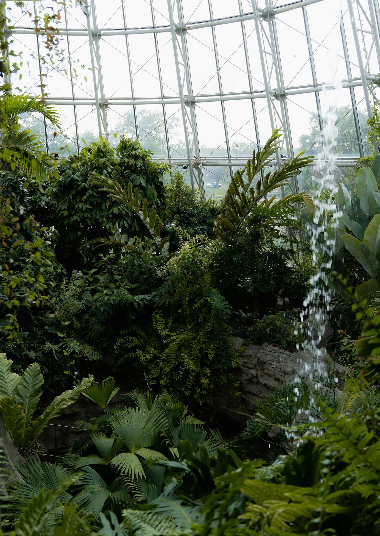 Lush greenhouse interior with tropical plants and a cascading waterfall feature under glass dome ceiling.