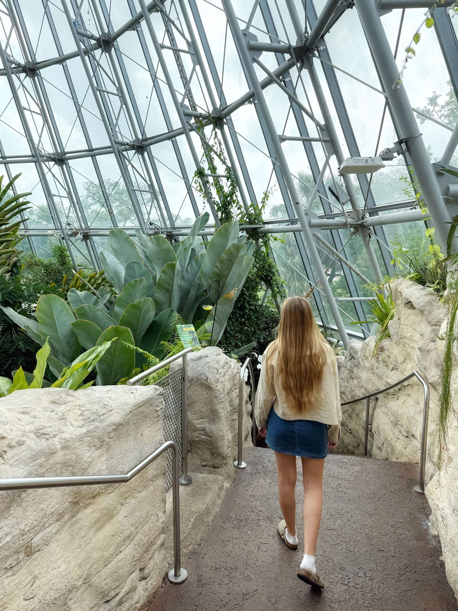 Visitor walking through a tropical greenhouse pathway surrounded by lush plants and glass architecture.