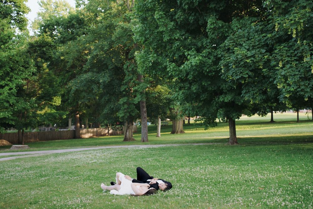 A dog with black and white fur lies leisurely on green grass in a scenic park on a sunny day.