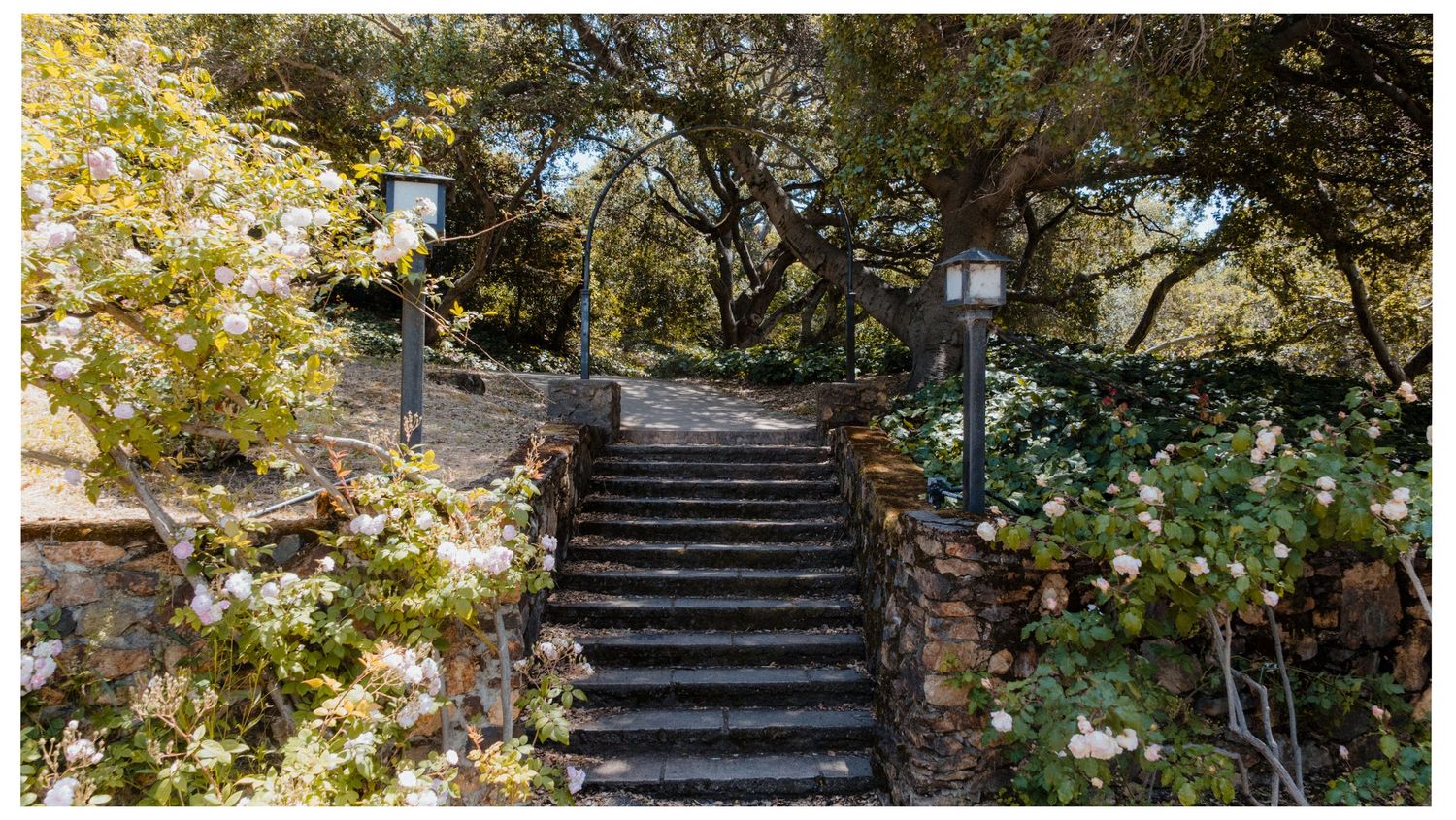 Stone steps winding up a garden path surrounded by lush foliage and autumn leaves at a public park entrance.