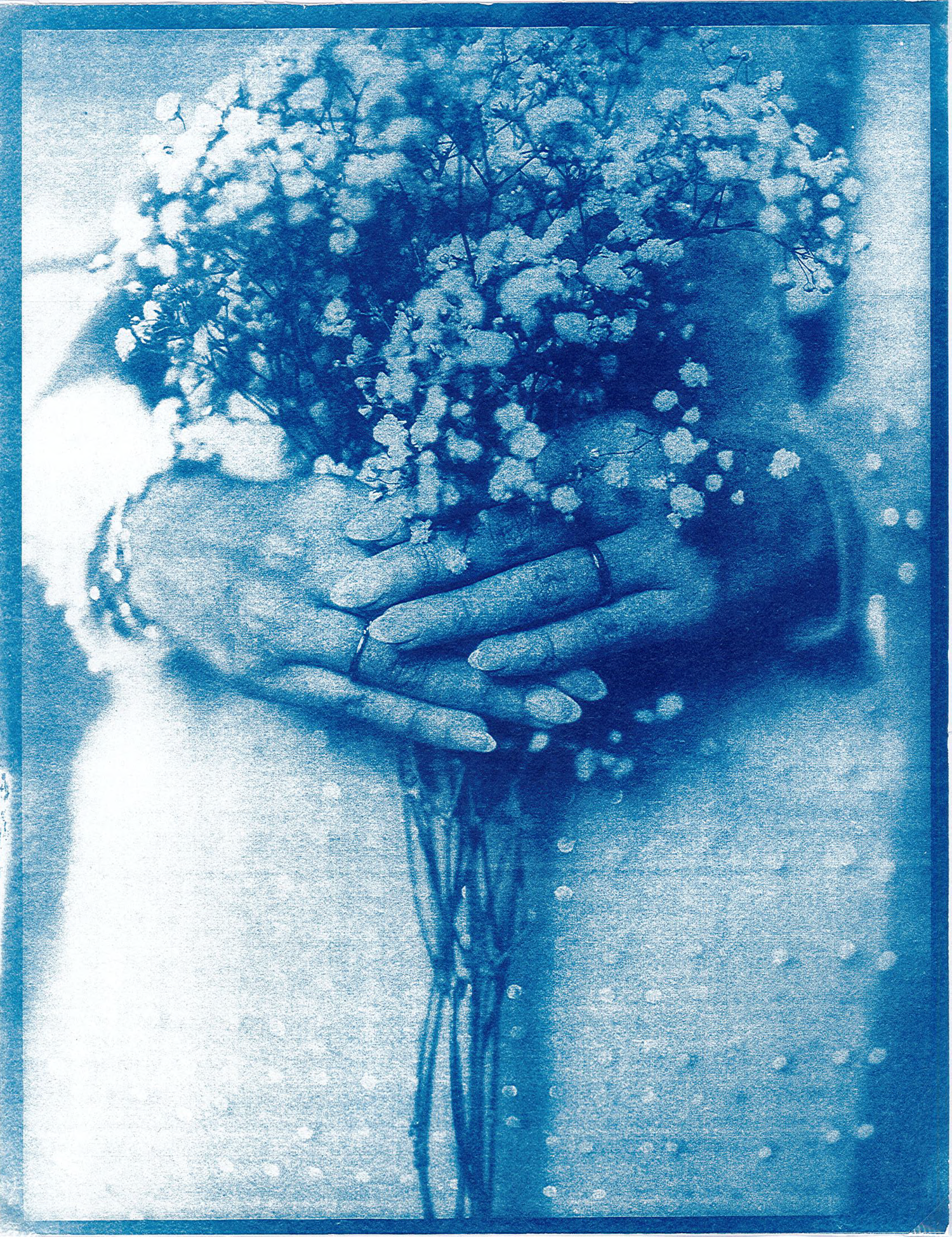 An artistic cyanotype photo showing delicate baby's breath flowers held in cupped hands with a dreamy blue tint.