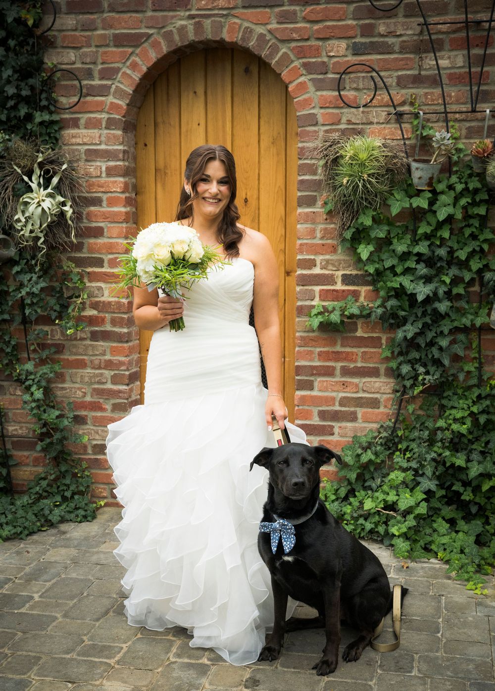 Bride in white gown poses with black dog in front of wooden door with ivy-covered brick wall.
