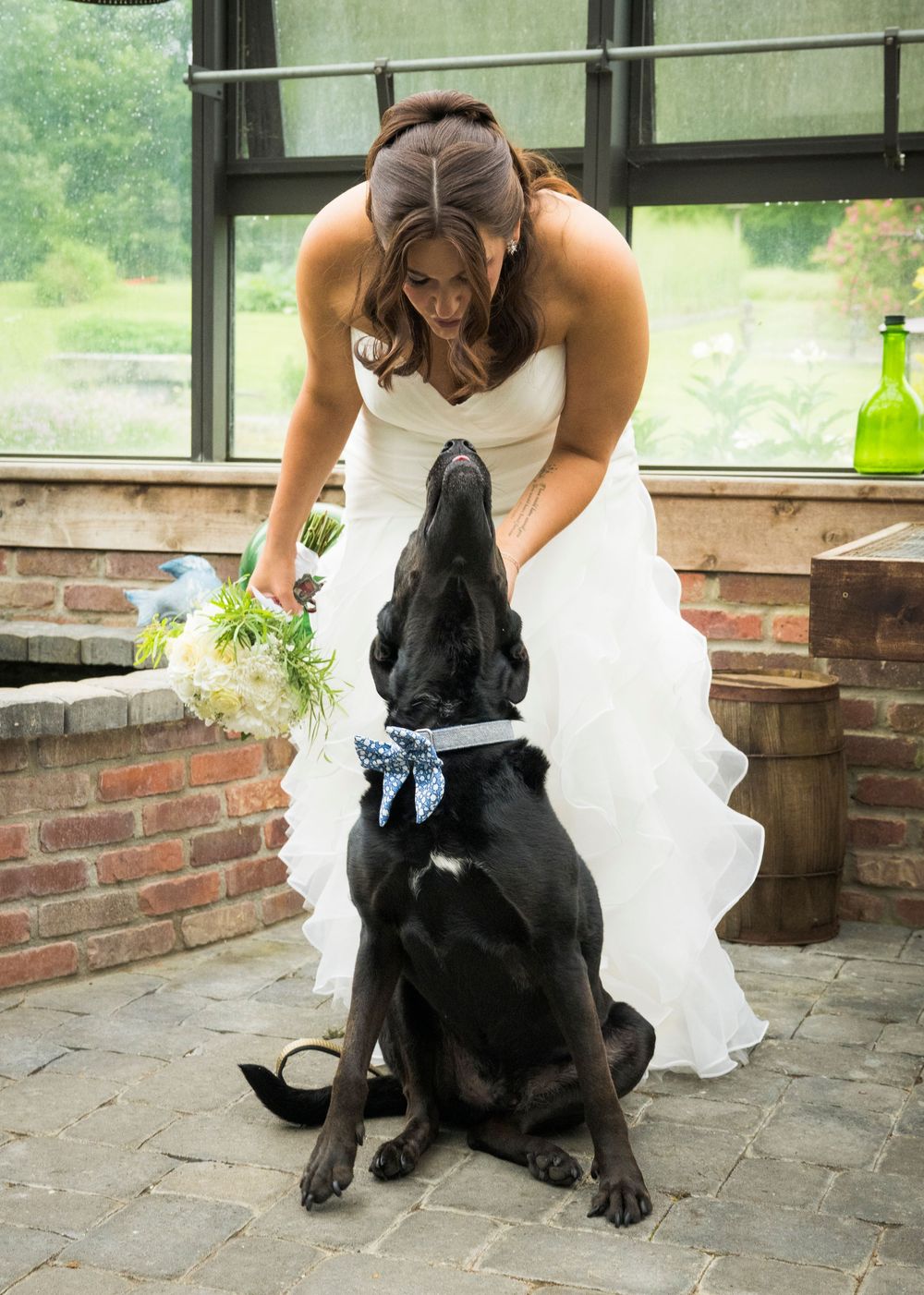 Bride in white dress bends down to interact with black dog wearing blue bow tie.