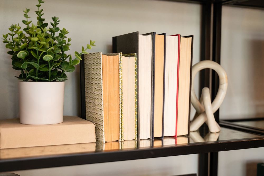 Modern white bookshelf with black frame displays carefully arranged books, potted plants and decorative objects.