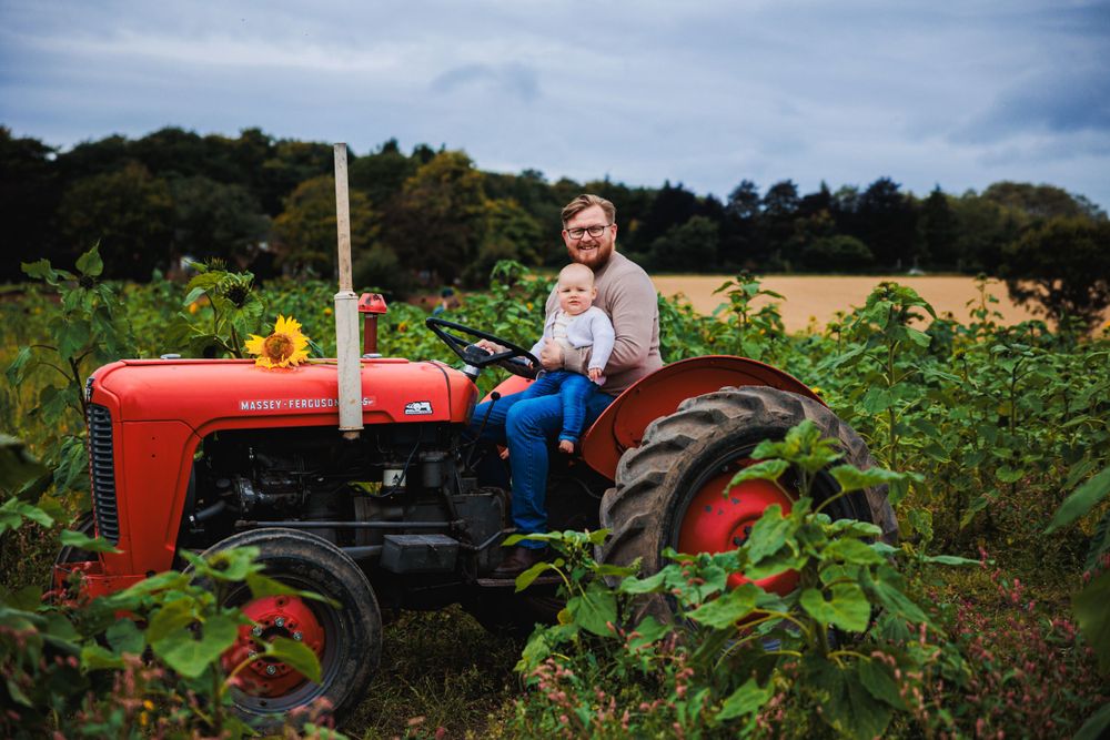 Vintage red tractor parked among tall sunflowers in countryside field.