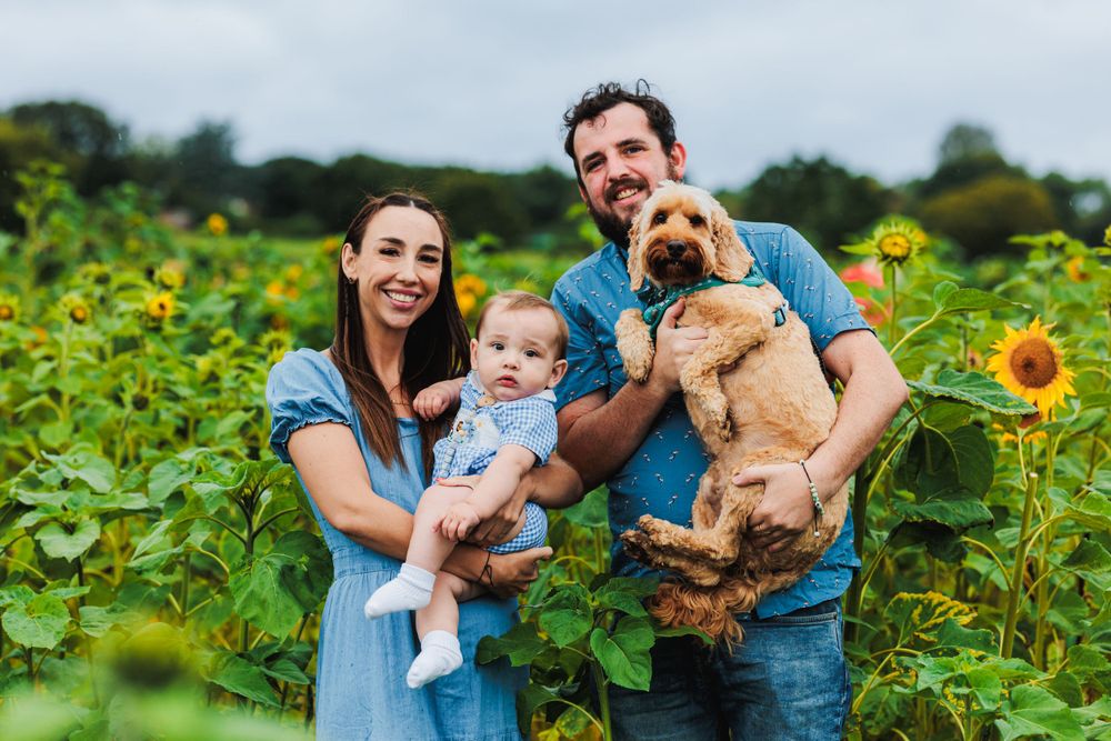 A cheerful family and their small dog pose together in a vibrant sunflower field on a sunny day.