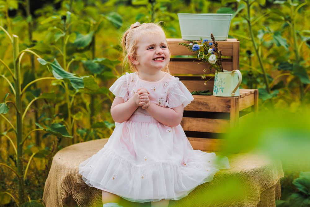 A little girl in a white tulle dress laughs while sitting on wooden crates among sunflowers.