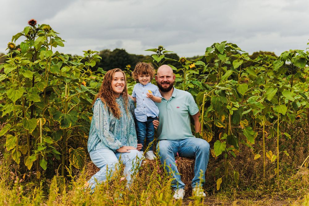 Family sitting together in a sunflower field on a cloudy day surrounded by tall green plants.