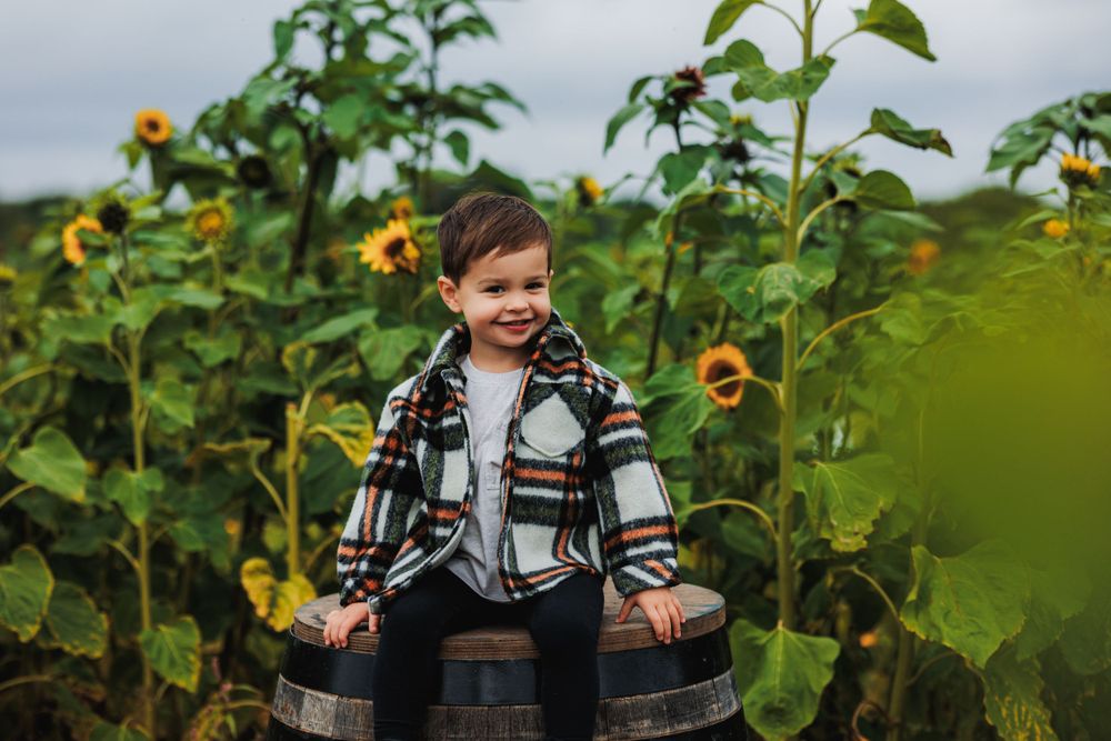 Child sitting on rustic barrels among tall sunflowers wearing plaid outerwear.