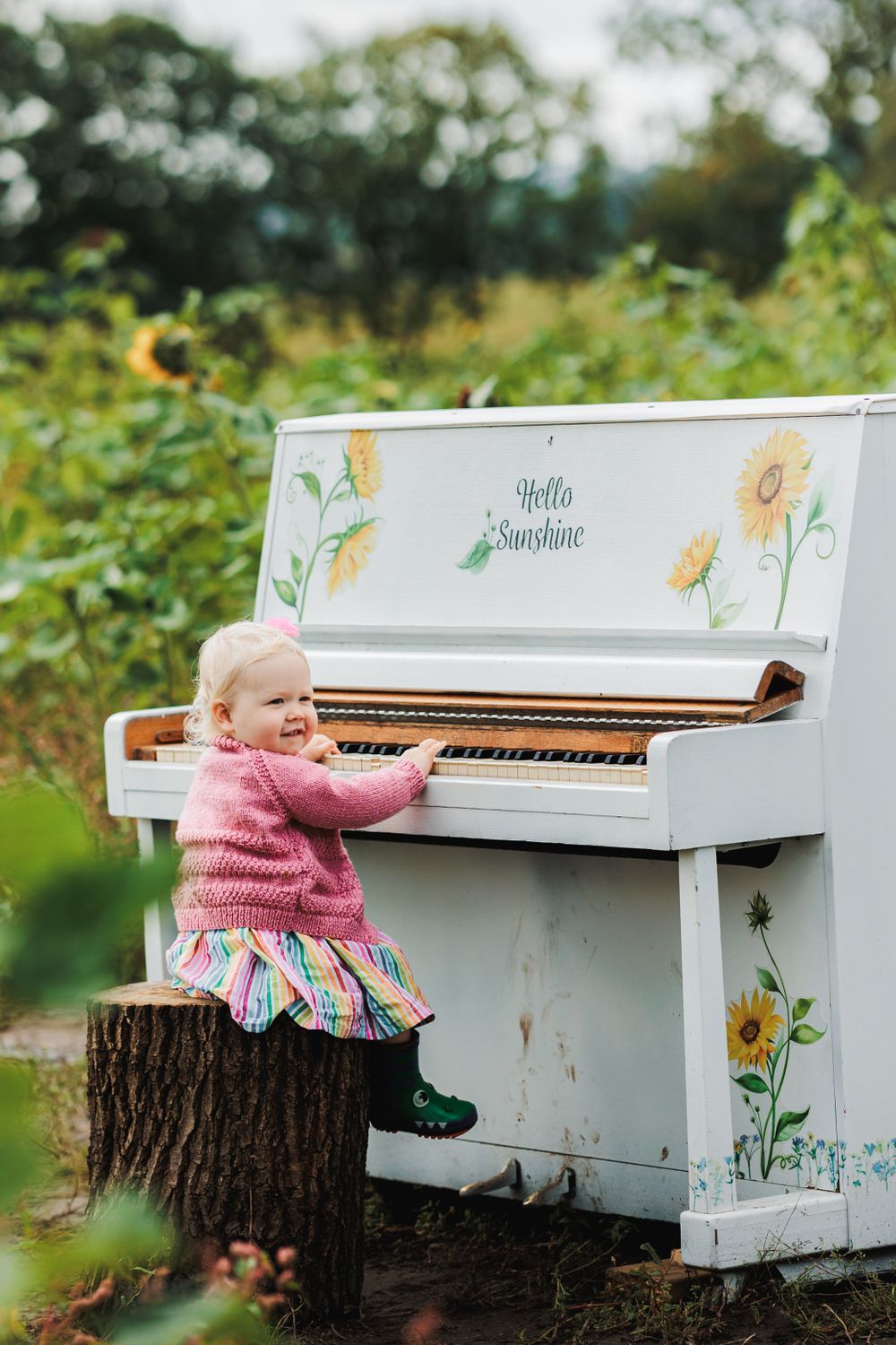 Small child playing white decorated piano outdoors in sunflower garden.