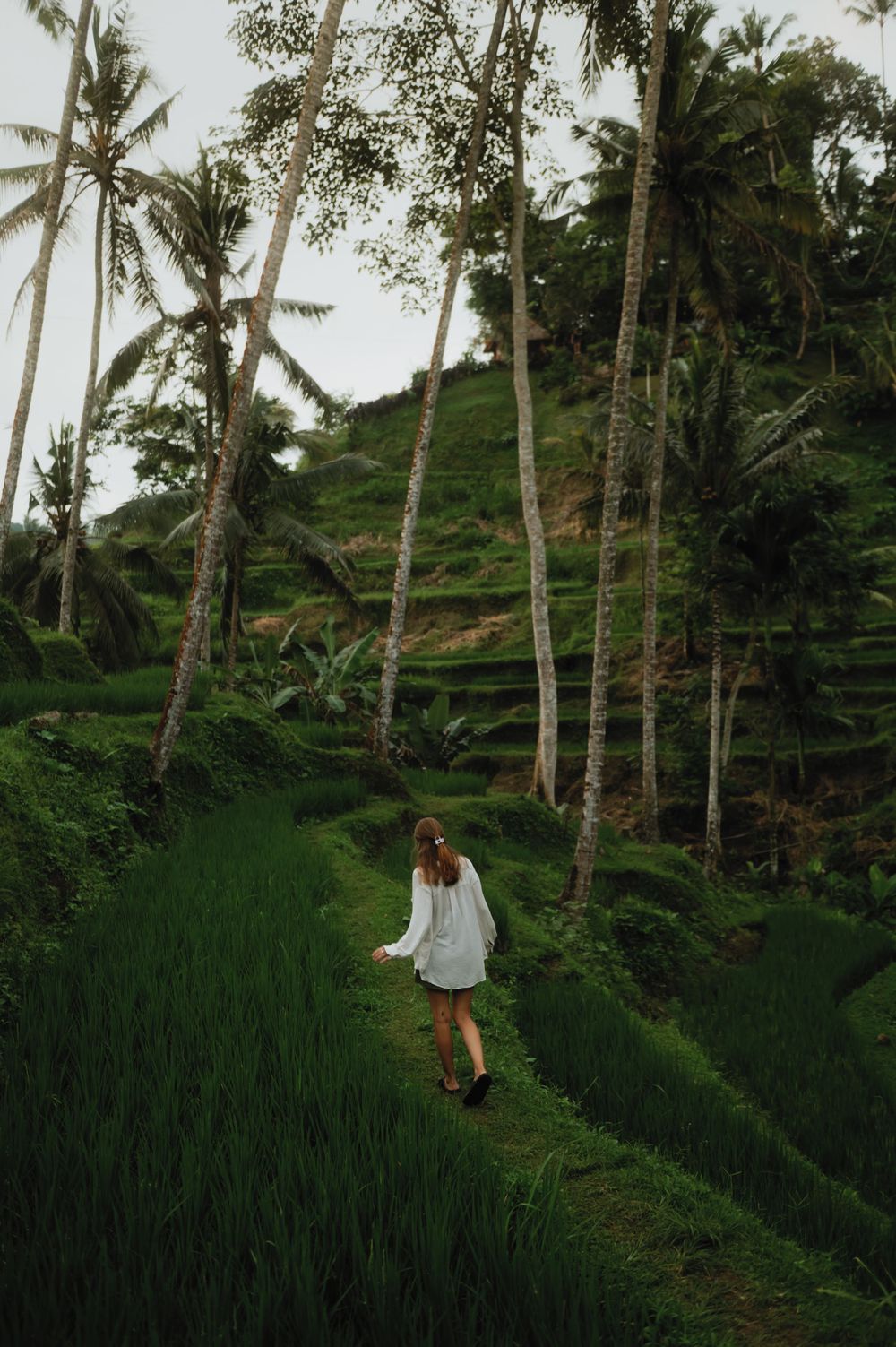Person in white dress strolling through verdant terraced rice fields among towering palm trees.