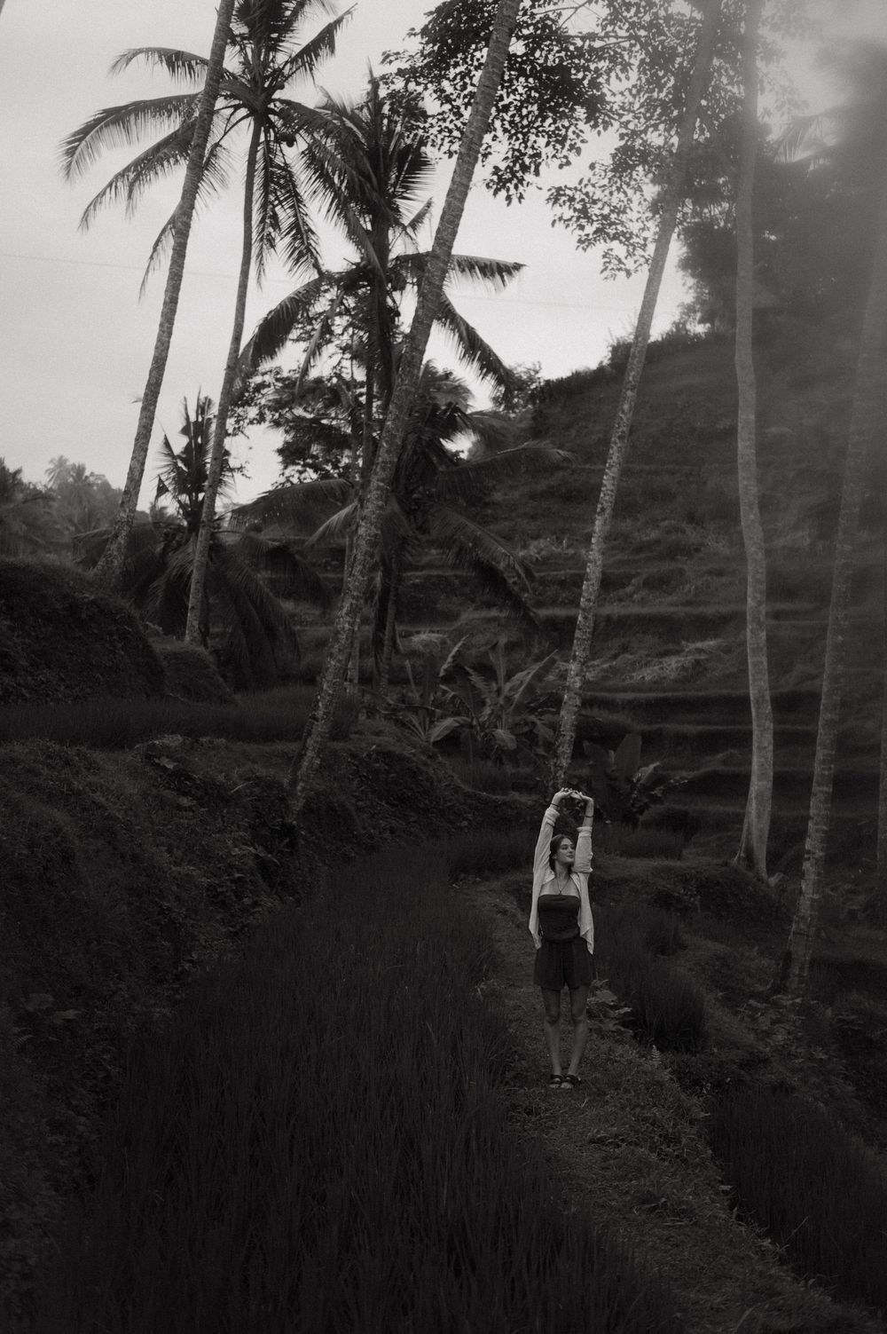 A black and white photo captures a solitary figure walking among palm trees on a tropical hillside path.