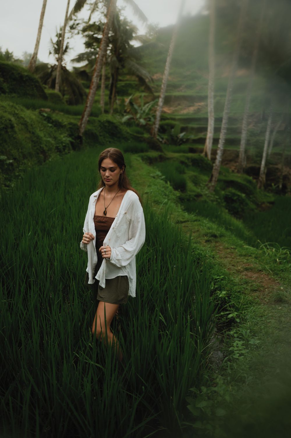 Figure standing among tall green rice plants on terraced fields with palm trees in background.