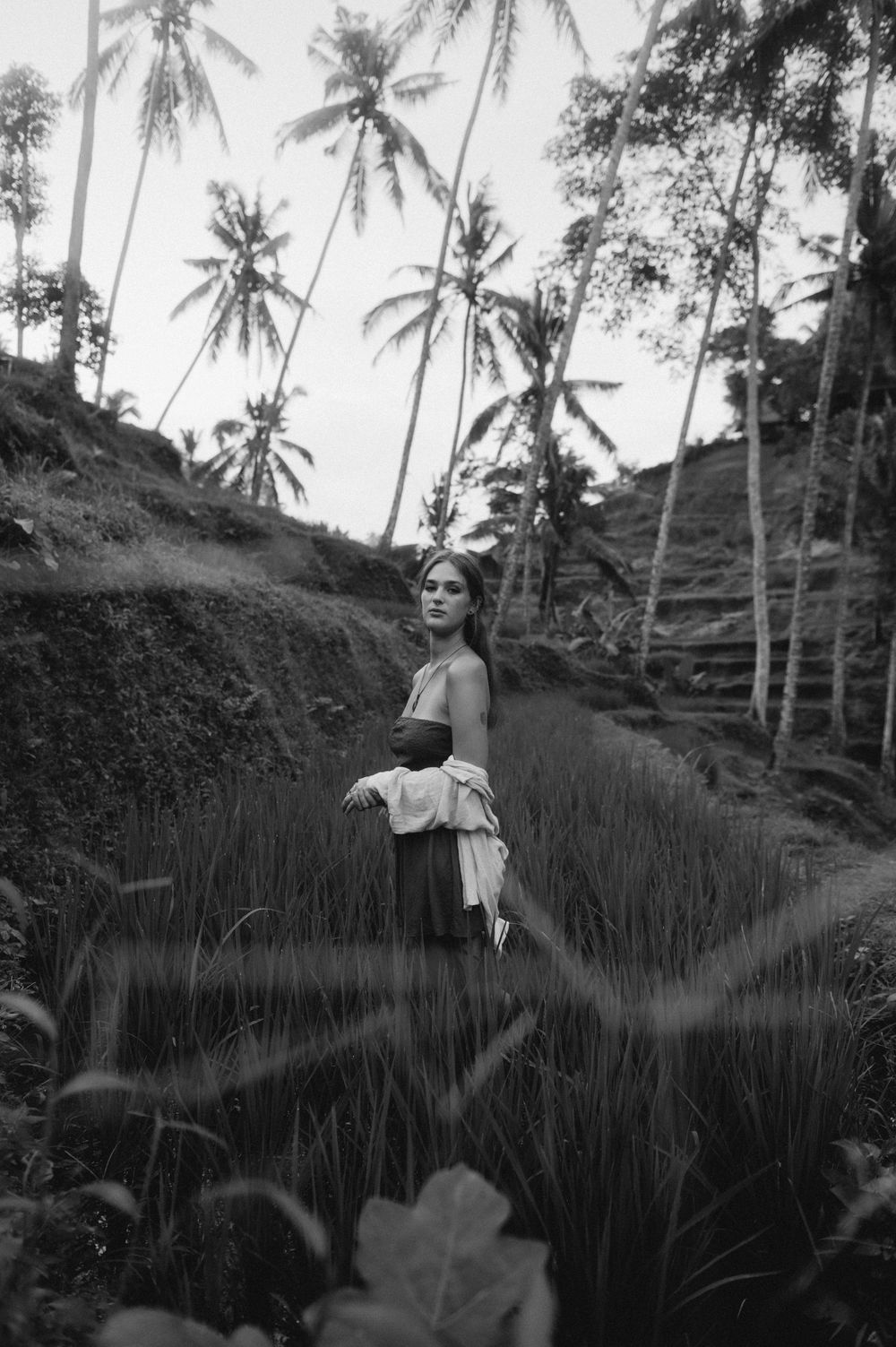 Black and white photo in tropical rice terraces with palm trees.