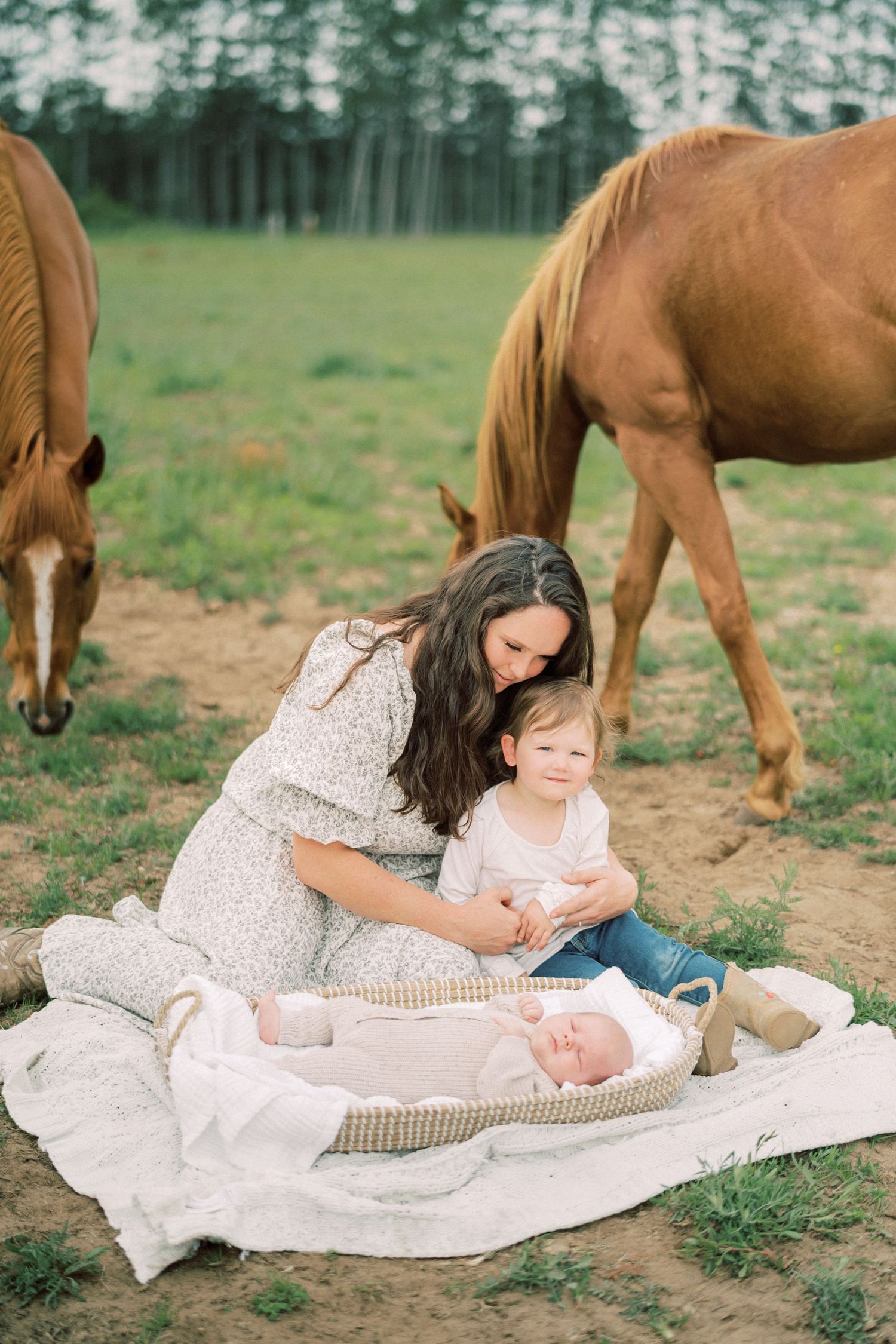 Horses graze in a field while a family sits together on a blanket during an outdoor photo session.