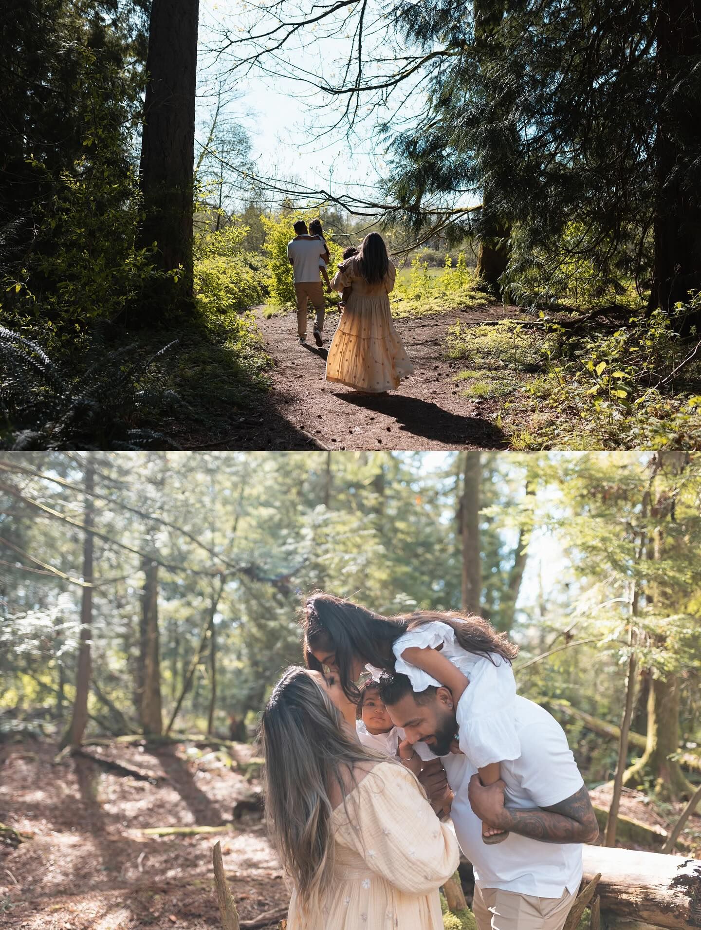 Photo location Surrey BC Redwood park. Forest area, open field with long yellow grass, shade and sun. Elizabeth Lang Photography.
