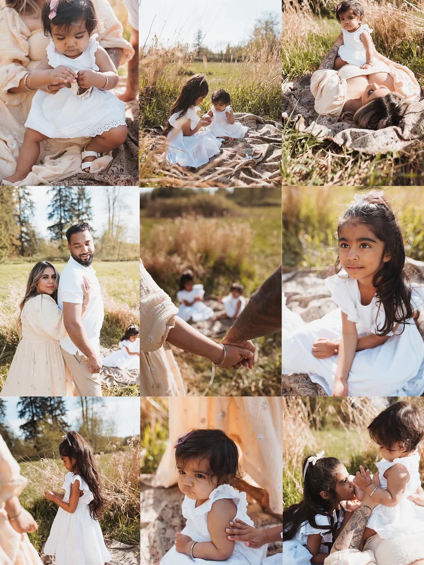 Photo location Surrey BC Redwood park. Forest area, open field with long yellow grass, shade and sun. Elizabeth Lang Photography.