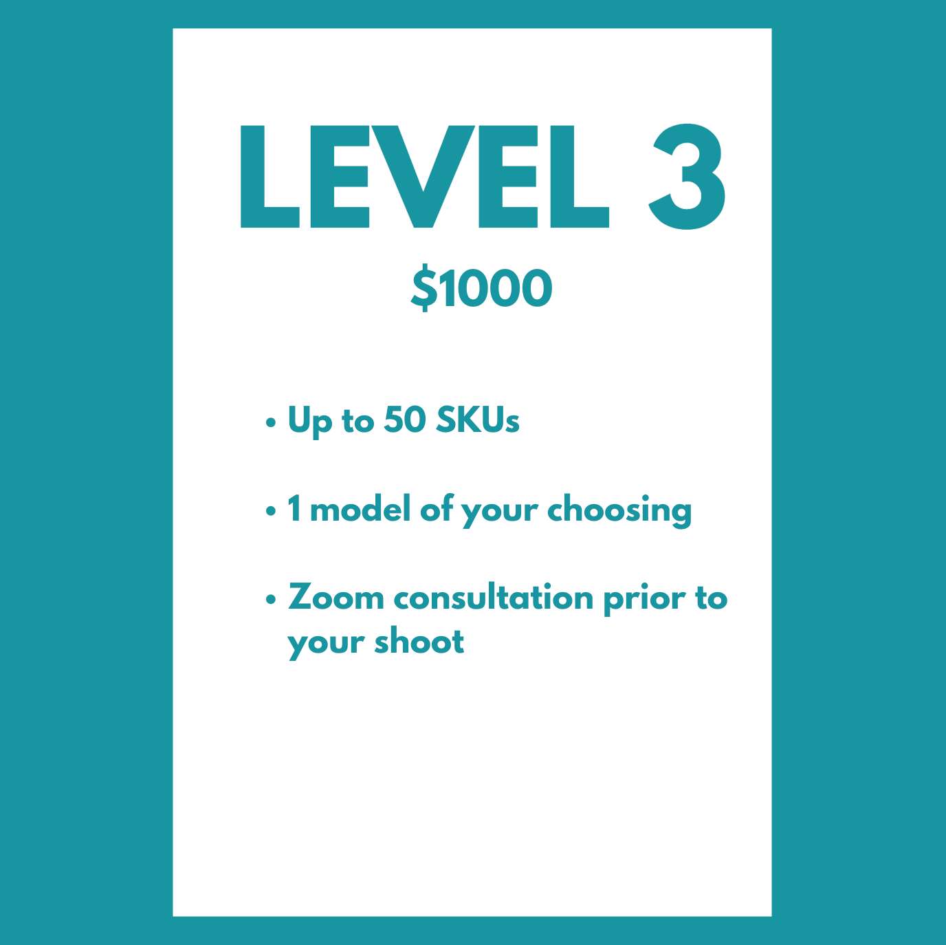 Level 3 garment photography pricing - $1000
