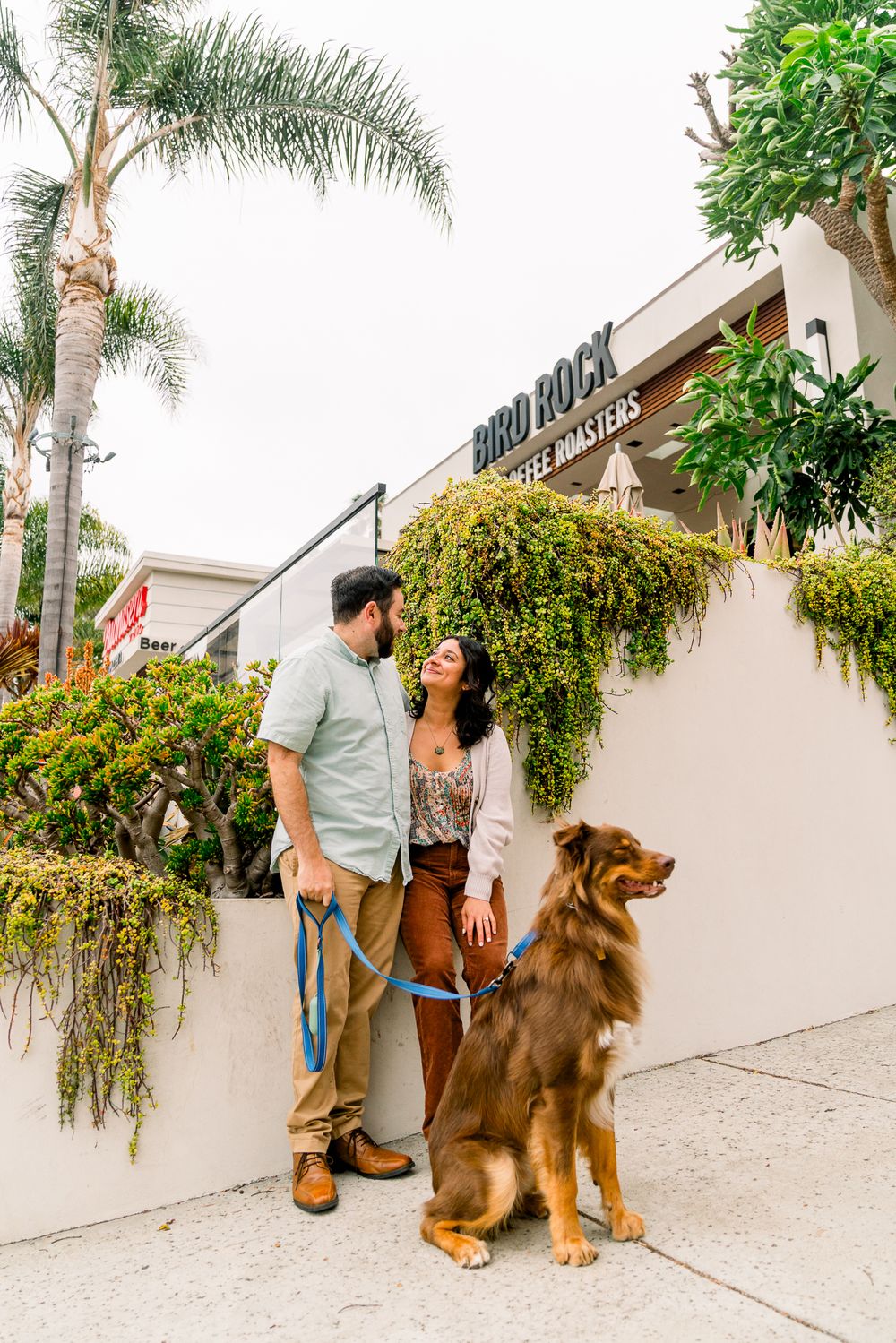 Couple and their brown dog pose together outside Bird Rock Coffee Roasters storefront with tropical plants and palm trees.