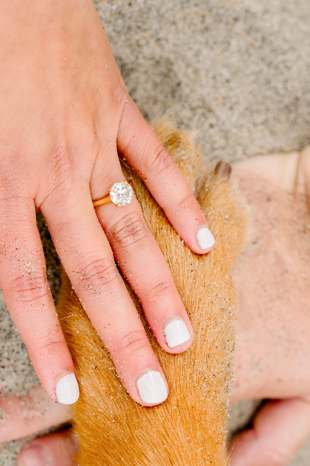 A hand wearing a diamond engagement ring and white nail polish gently rests on golden-colored dog fur.